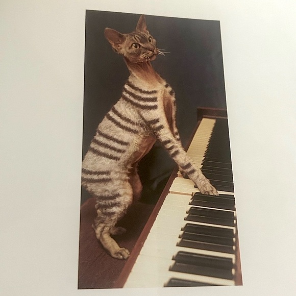 Colorful Vintage Cat Art Print Book Home Decor “Why Paint Cats” - Picture 3 of 15